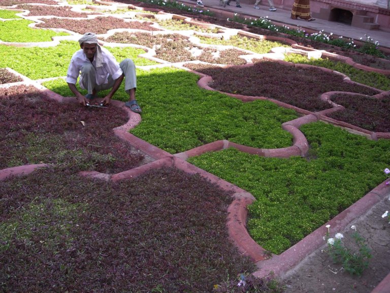 indiaportrait (11 of 13)