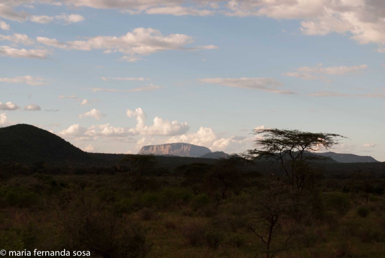 KenyaNature (2 of 9)