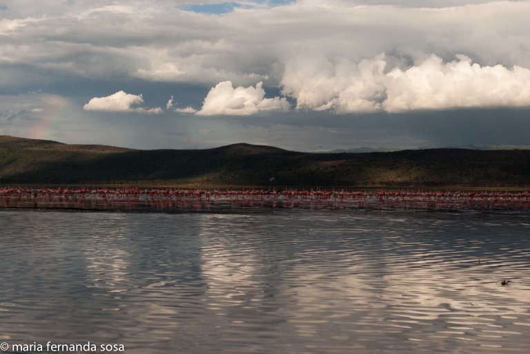 KenyaNature (5 of 9)