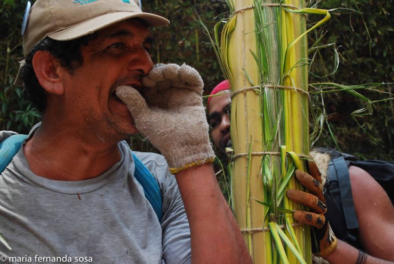 palmeros09 (10 of 39)