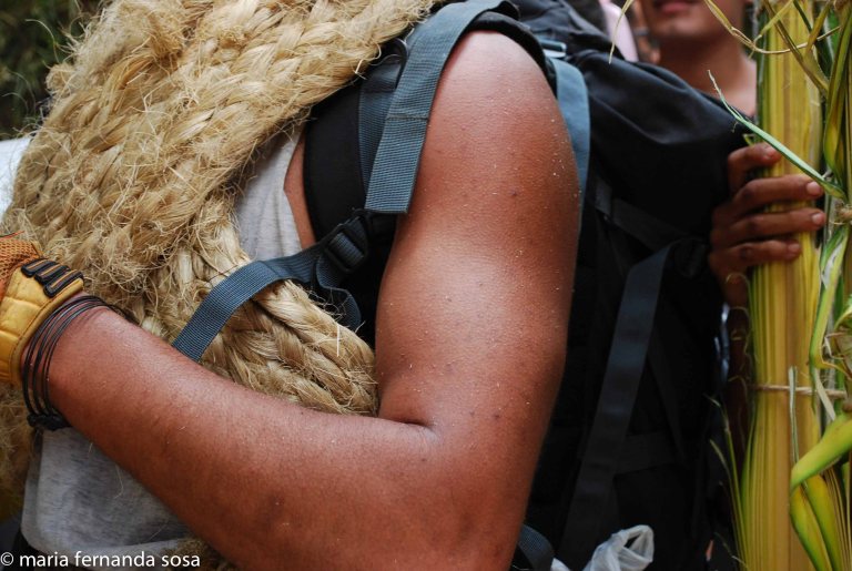 palmeros09 (11 of 39)