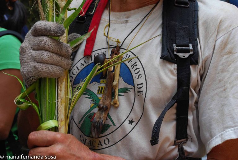 palmeros09 (16 of 39)