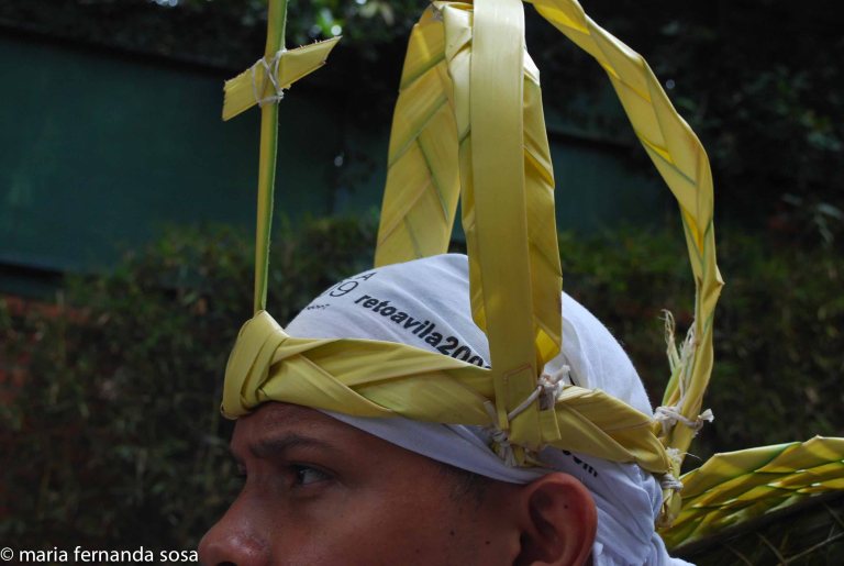 palmeros09 (17 of 39)