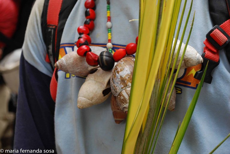 palmeros09 (18 of 39)