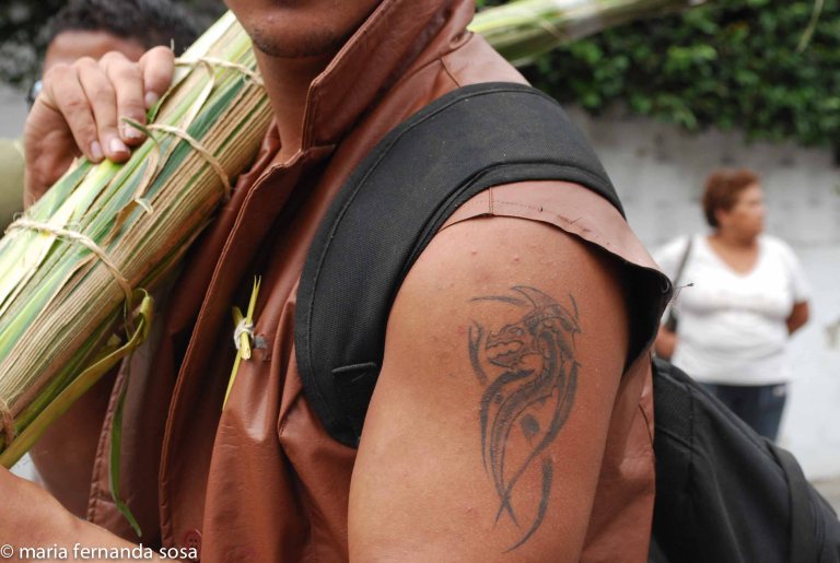 palmeros09 (25 of 39)