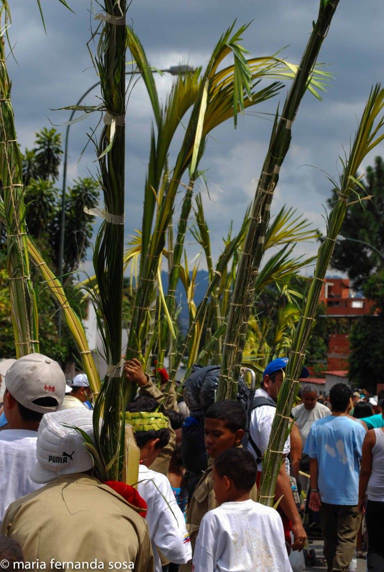 palmeros09 (29 of 39)