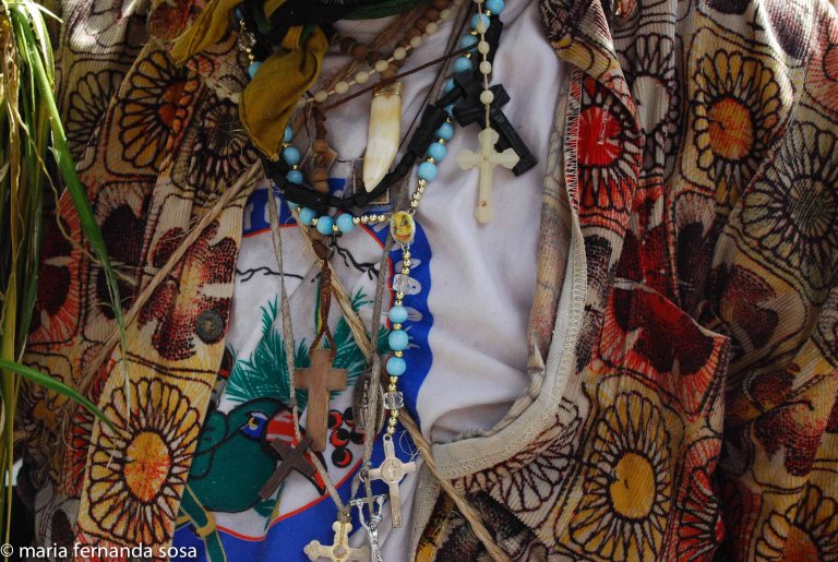 palmeros09 (32 of 39)