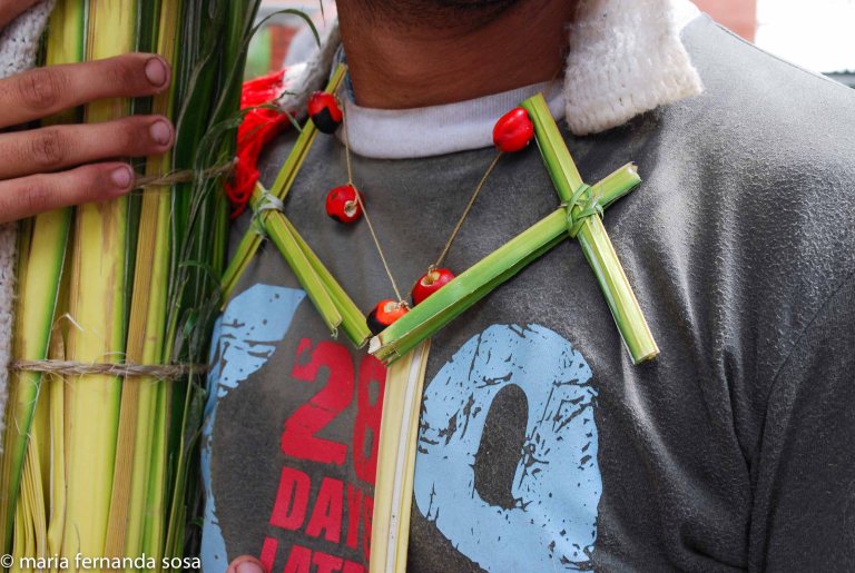 palmeros09 (33 of 39)