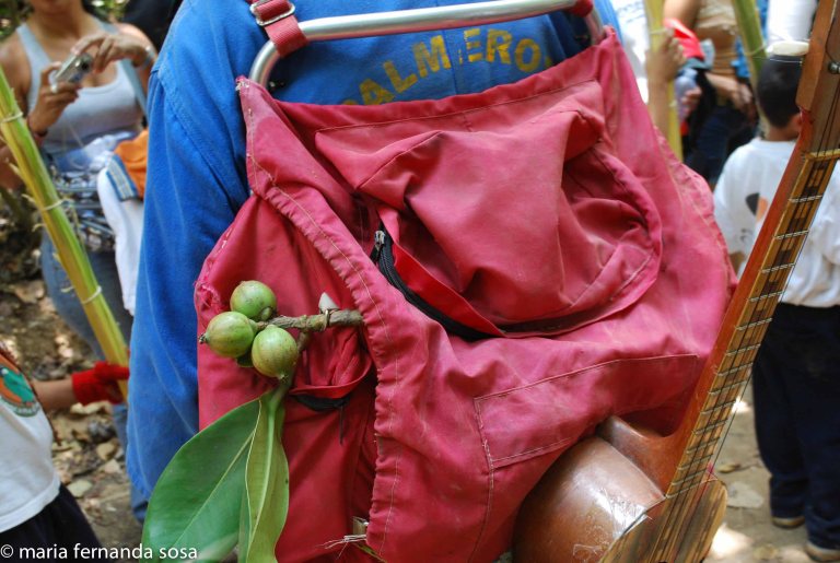 palmeros09 (6 of 39)