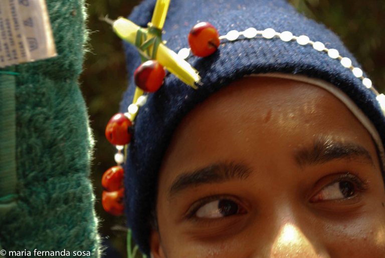 palmeros09 (8 of 39)