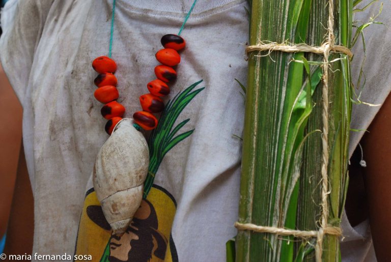 palmeros09 (9 of 39)