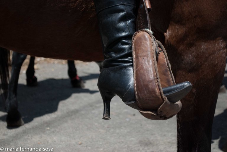 VVenCulture (11 of 36)