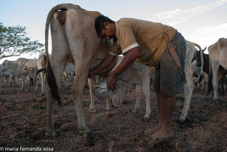 VVenCulture (26 of 36)