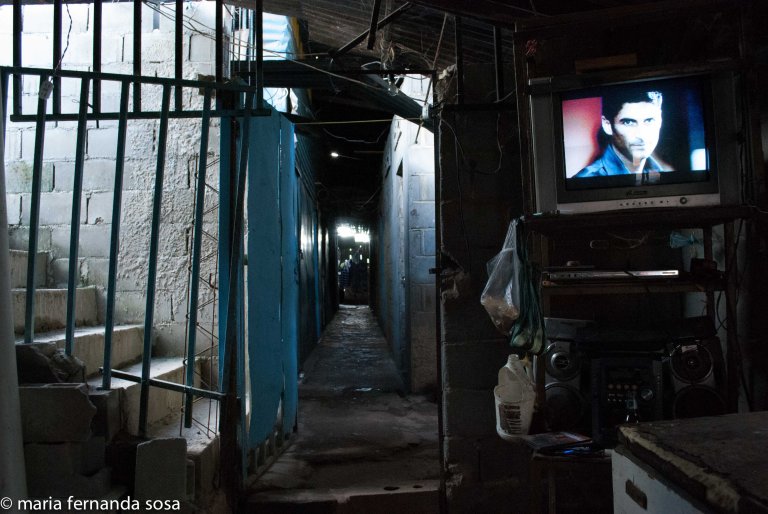 VVenCulture (31 of 36)