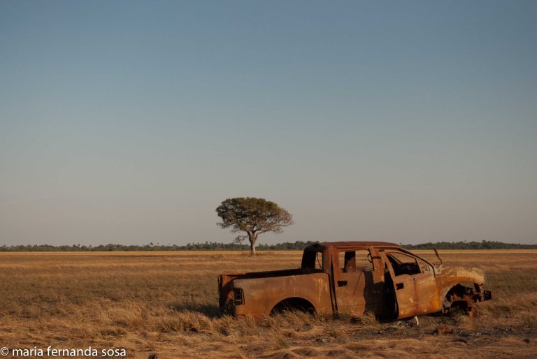 VVenNature (12 of 14)