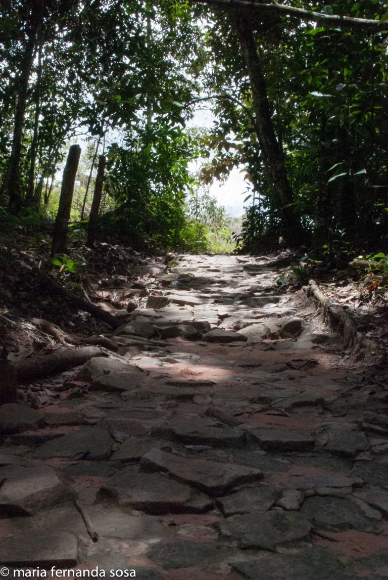 VVenNature (14 of 14)