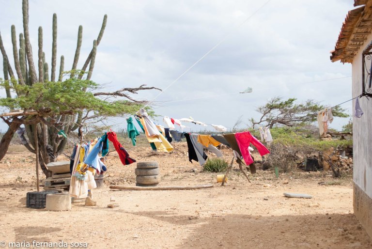 VVenNature (3 of 14)