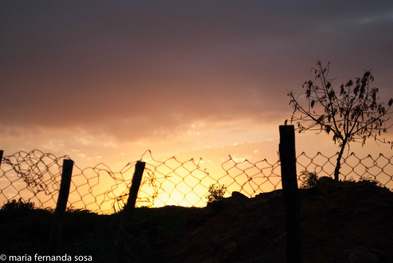 VVenNature (4 of 14)