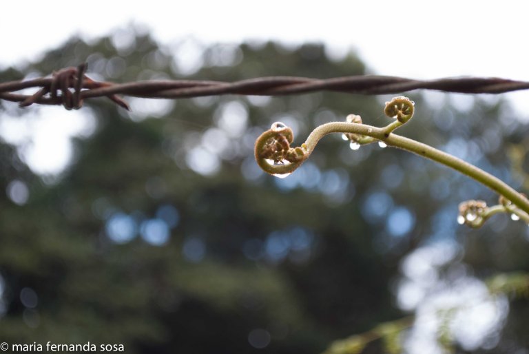 VVenNature (5 of 14)