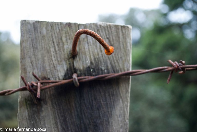 VVenNature (6 of 14)