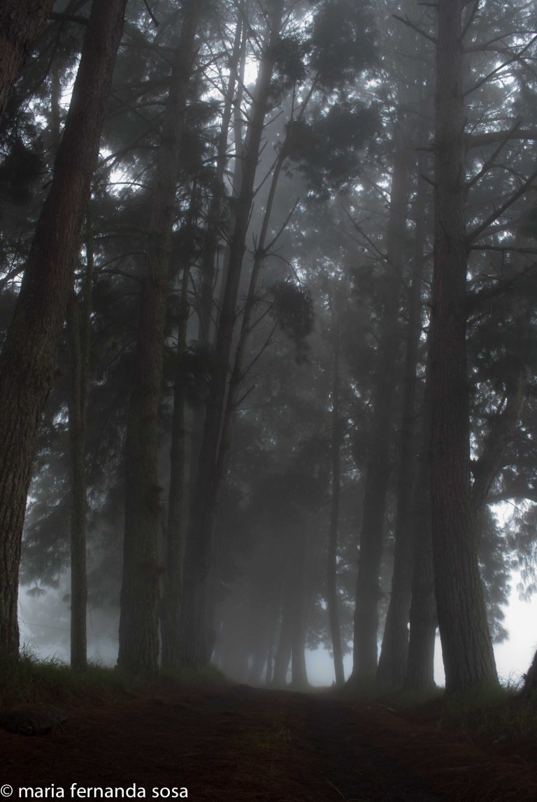 VVenNature (8 of 14)