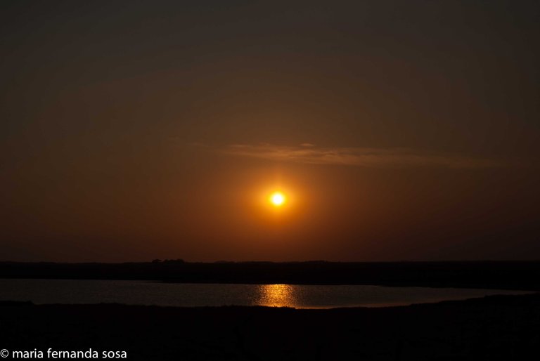 VVenNature (9 of 14)