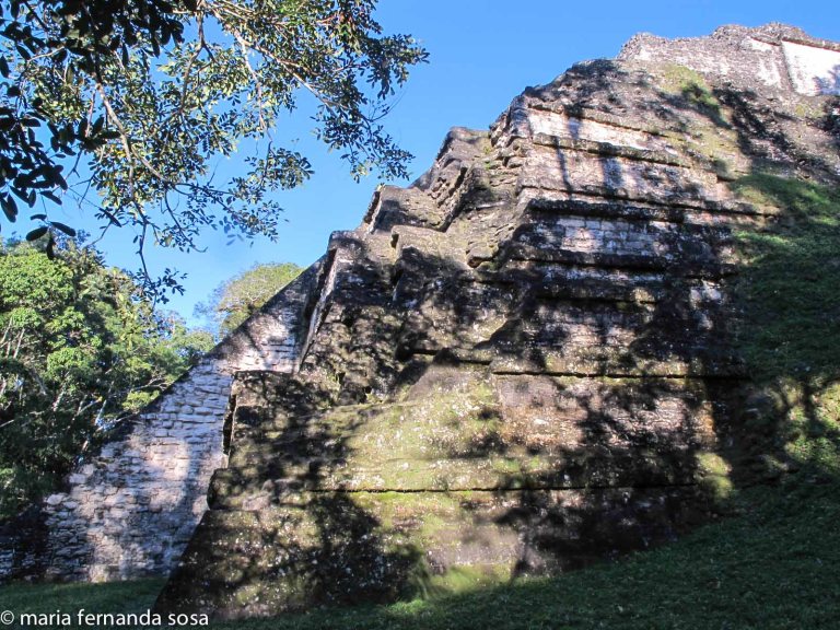 tikal-23