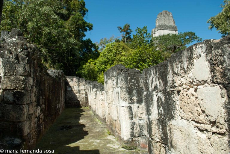 tikal-35