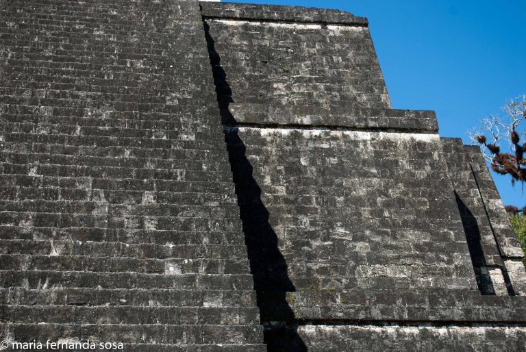 tikal-40