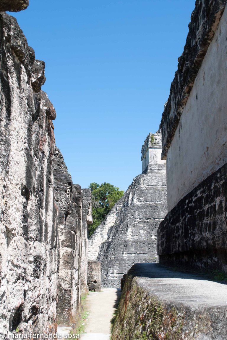tikal-42