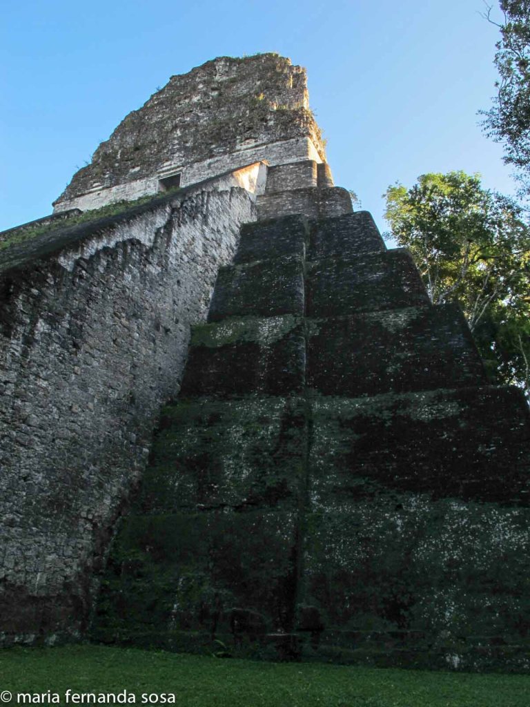tikal-53