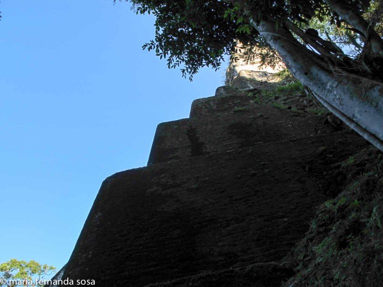 tikal-54