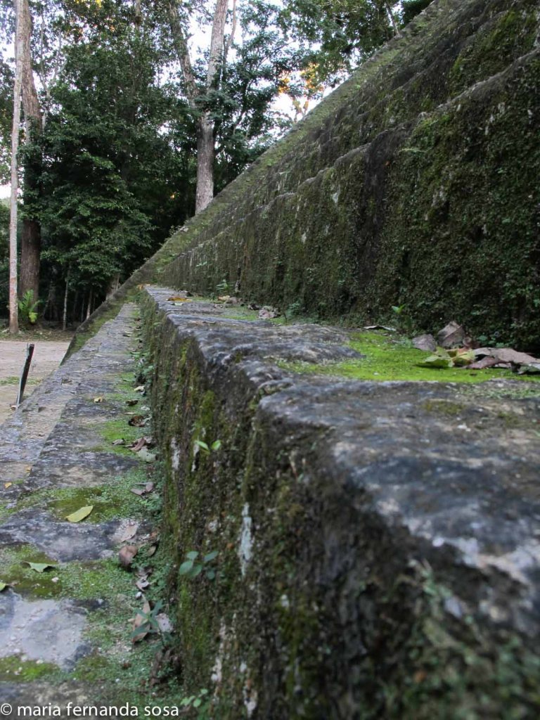 tikal-56