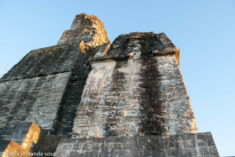 tikal-6