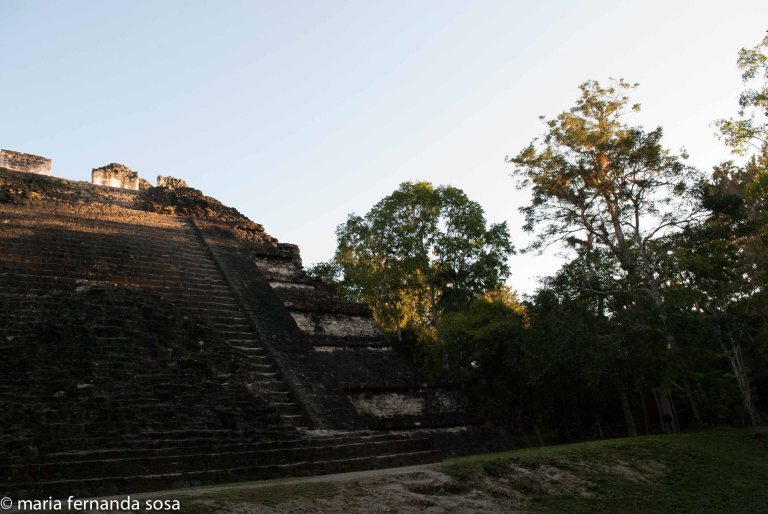 tikal-7