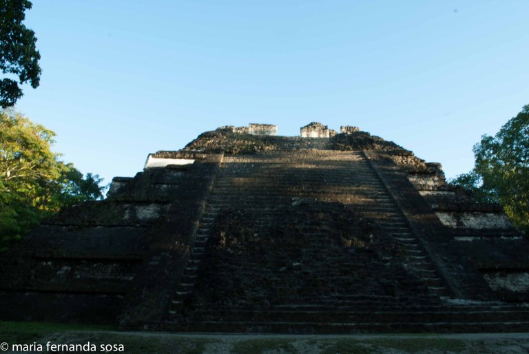 tikal-8