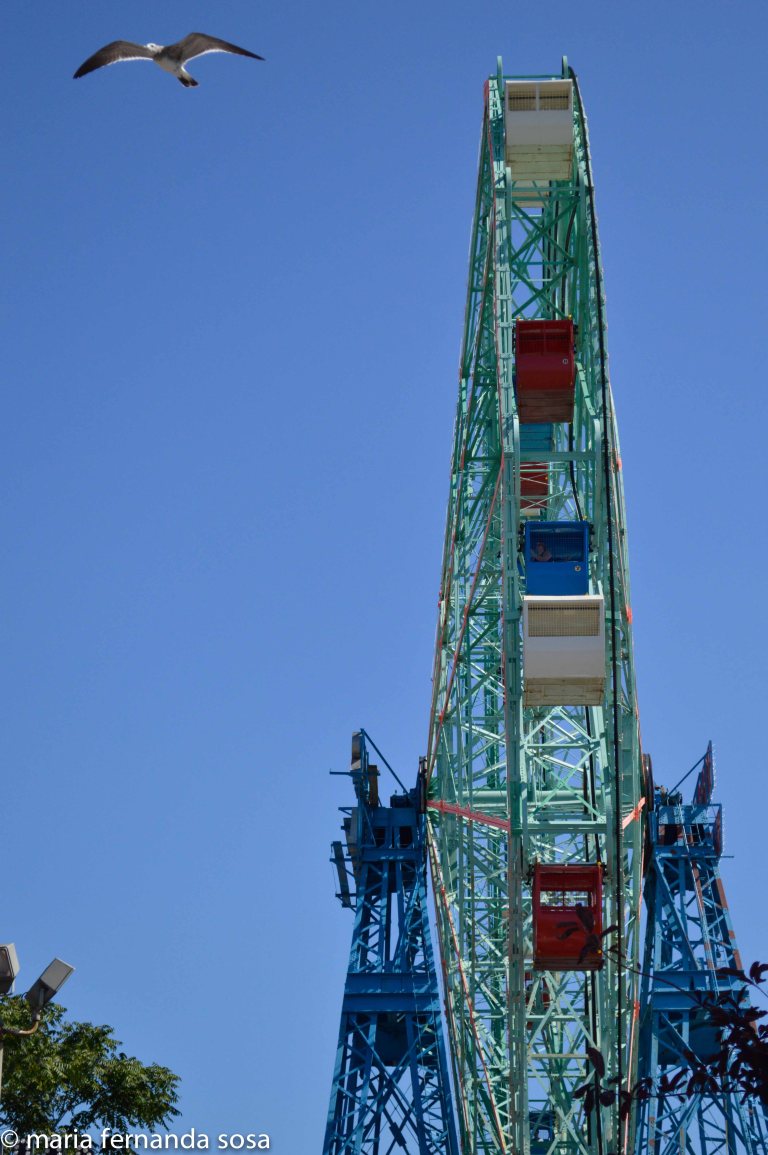 coneyIsland-30
