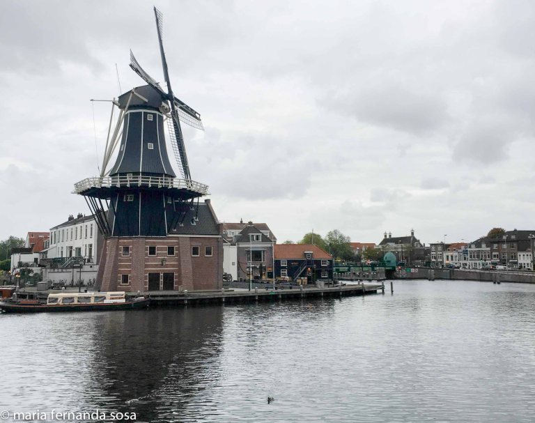 haarlem-34